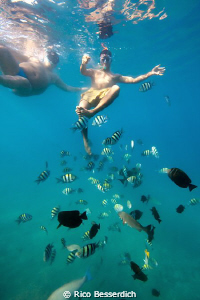 2 egyptians are feeding fish at Na'ama bay in Sharm el Sh... by Rico Besserdich 